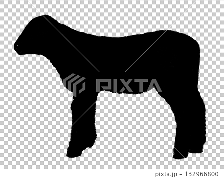 羔羊（輪廓） 132966800