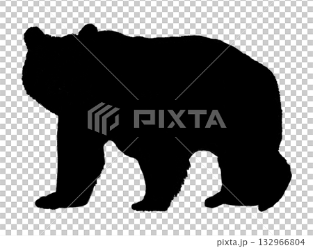 Bear (silhouette) 132966804