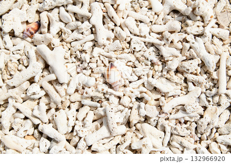 砂のクローズアップ 132966920
