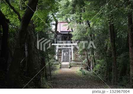 茨城　稲村神社（常陸太田市） 132967004