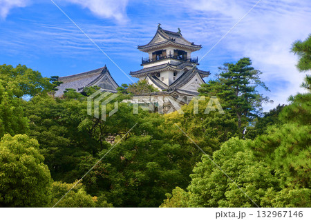 高知城・天守閣（高知県・高知市） 132967146
