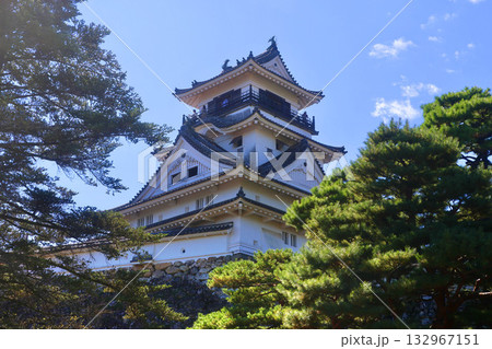 高知城・天守閣（高知県・高知市） 132967151