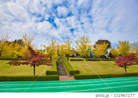 銀杏並木ーふくい健康の森の秋 132967277