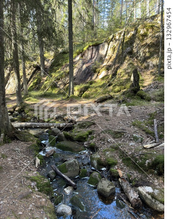 フィンランドのヌークシオ国立公園の沢 132967454