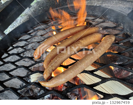 フィンランドのヌークシオ国立公園でBBQ 132967459