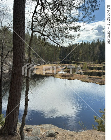 フィンランドのヌークシオ国立公園の湖 フィンランドのヌークシオ国立公園の湖 132967479
