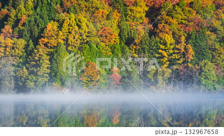 中綱湖（秋） 132967658