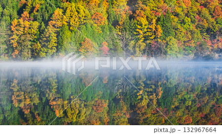 中綱湖（秋） 132967664