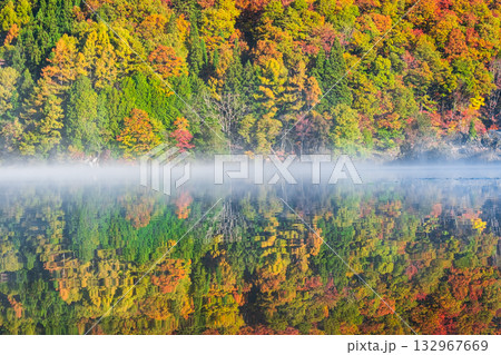 中綱湖（秋） 132967669