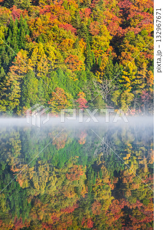 中綱湖（秋） 132967671