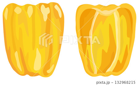 黄色のパプリカのイラスト 断面 ベクター素材 黄色のパプリカのイラスト 断面 ベクター素材 132968215