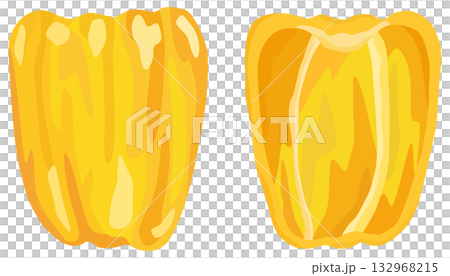 Yellow paprika illustration cross section vector material Yellow paprika illustration cross section vector material 132968215