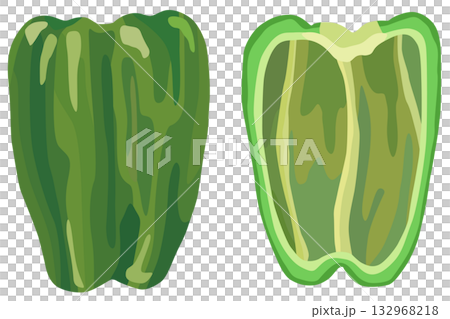 甜椒橫斷面插圖向量圖 132968218