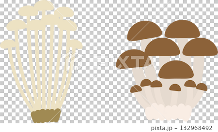 金針菇和白玉菇的插圖素材 132968492