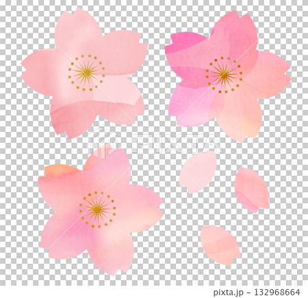 櫻花 櫻花 132968664