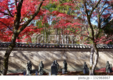 嵐山羅漢 132968667