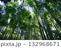 嵐山竹林の小径 132968671