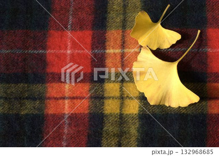 赤いチェック柄の布地と銀杏の葉 132968685