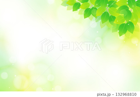 新緑の葉っぱとキラキラの爽やか背景イラスト素材　右上 132968810
