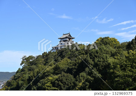 秋の青空と犬山城 秋の青空と犬山城 132969375