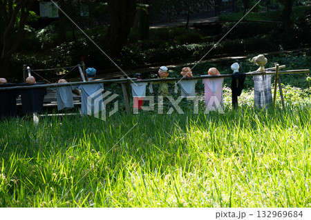 カカシ カカシ 132969684