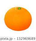 リアルなみかんのイラスト 132969689