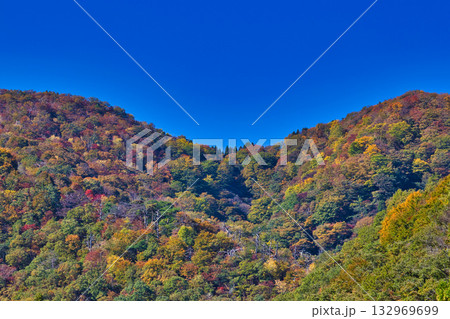 紅葉と静寂に包まれた旧家と庭 132969699