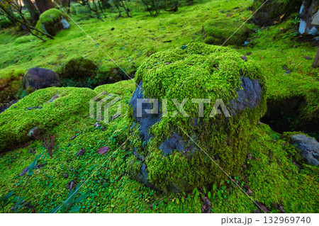 紅葉と静寂に包まれた旧家と庭 132969740
