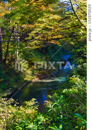 紅葉と静寂に包まれた旧家と庭 紅葉と静寂に包まれた旧家と庭 132970029