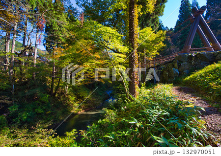 紅葉と静寂に包まれた旧家と庭 紅葉と静寂に包まれた旧家と庭 132970051