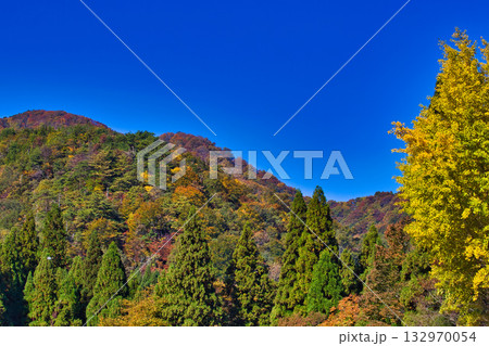 紅葉と静寂に包まれた旧家と庭 紅葉と静寂に包まれた旧家と庭 132970054
