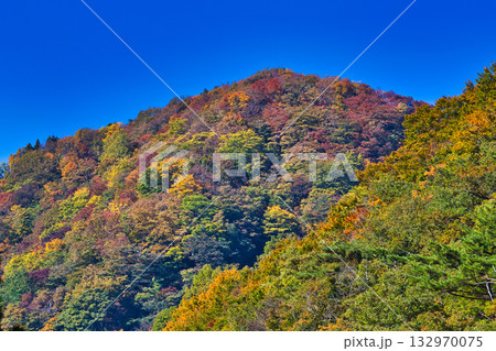紅葉と静寂に包まれた旧家と庭 紅葉と静寂に包まれた旧家と庭 132970075
