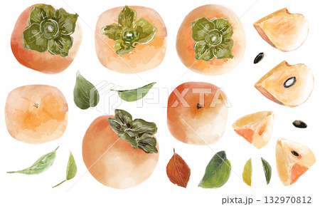 水彩風手描き柿のパーツ素材イラストセット 水彩風手描き柿のパーツ素材イラストセット 132970812