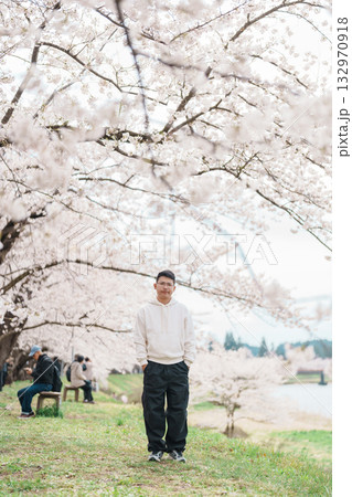 man tourist sightseeing Sakura Cherry Blossom in Spring. Happy traveler travel near Hinokinai River riverbank in Kakunodate town, Semboku District, Akita Prefecture, Japan. Landmark and Vacation 132970918