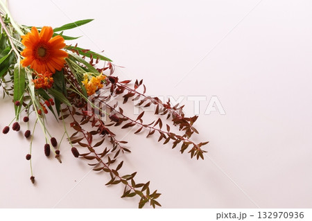秋色の花 132970936