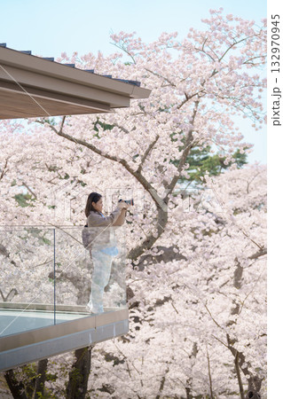 Woman tourist sightseeing Sakura Cherry Blossom in Spring. Happy traveler travel and taking photo at Saigyo Modoshi no Matsu over Matsushima Bay near Sendai, Miyagi, Japan. Famous Landmark Vacation Woman tourist sightseeing Sakura Cherry Blossom in Spring. Happy traveler travel and taking photo at Saigyo Modoshi no Matsu over Matsushima Bay near Sendai, Miyagi, Japan. Famous Landmark Vacation 132970945