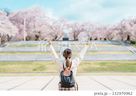Woman tourist sightseeing Tendo Park or Maizuru Park with Sakura Cherry Blossom in Spring, happy traveler travel in Yamagata prefecture, Tohoku, Japan. famous Landmark for Travel and Vacation Woman tourist sightseeing Tendo Park or Maizuru Park with Sakura Cherry Blossom in Spring, happy traveler travel in Yamagata prefecture, Tohoku, Japan. famous Landmark for Travel and Vacation 132970962