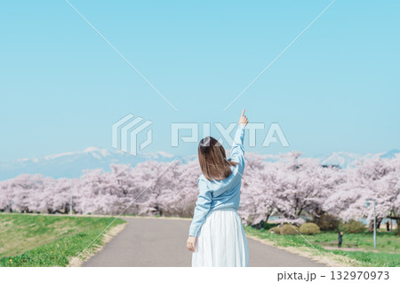 Woman tourist sightseeing Kitakami Tenshochi Park with Sakura Cherry Blossom in Spring, traveler travel in Kitakami festival, Iwate prefecture, Japan. Landmark for Travel and Vacation destination 132970973