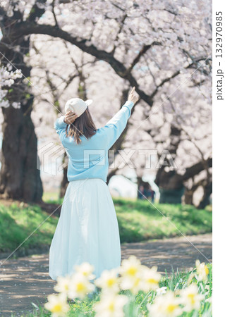 Woman tourist sightseeing Kitakami Tenshochi Park with Sakura Cherry Blossom in Spring, traveler travel in Kitakami festival, Iwate prefecture, Japan. Landmark for Travel and Vacation destination Woman tourist sightseeing Kitakami Tenshochi Park with Sakura Cherry Blossom in Spring, traveler travel in Kitakami festival, Iwate prefecture, Japan. Landmark for Travel and Vacation destination 132970985
