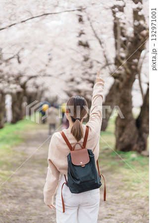 Woman tourist sightseeing Sakura Cherry Blossom in Spring. Happy traveler travel near Hinokinai River riverbank in Kakunodate town, Semboku District, Akita Prefecture, Japan. Landmark and Vacation Woman tourist sightseeing Sakura Cherry Blossom in Spring. Happy traveler travel near Hinokinai River riverbank in Kakunodate town, Semboku District, Akita Prefecture, Japan. Landmark and Vacation 132971001