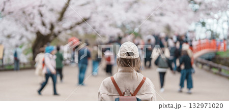 Woman tourist sightseeing Hirosaki Castle park with Sakura Cherry Blossom in Spring, traveler travel in Hirosaki city, Aomori, Tohoku, Japan. Landmark famous in Japan. Travel and Vacation destination Woman tourist sightseeing Hirosaki Castle park with Sakura Cherry Blossom in Spring, traveler travel in Hirosaki city, Aomori, Tohoku, Japan. Landmark famous in Japan. Travel and Vacation destination 132971020