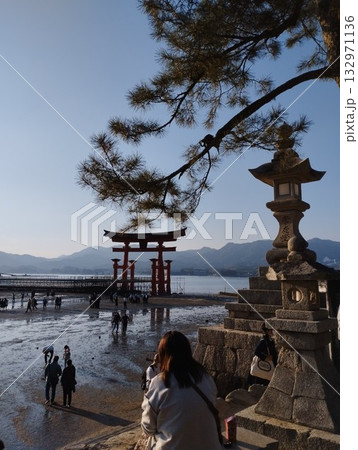 厳島神社鳥居を眺める観光客 厳島神社鳥居を眺める観光客 132971136