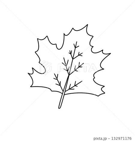 A leaf is drawn in black and white A leaf is drawn in black and white 132971176