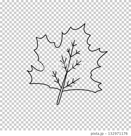 A leaf is drawn in black and white A leaf is drawn in black and white 132971176