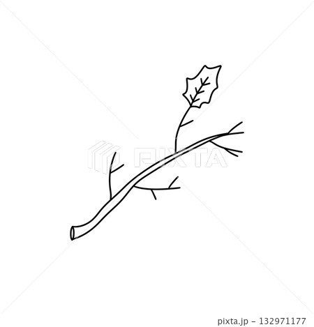 A thin branch with a leaf on it 132971177