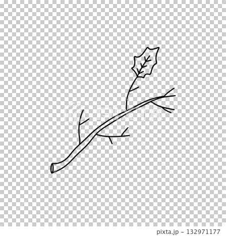 A thin branch with a leaf on it 132971177