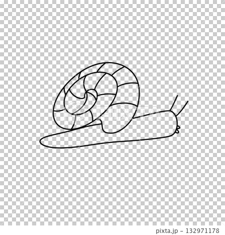 A snail is drawn in a spiral shape 132971178