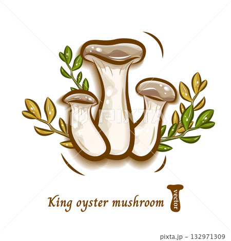 エリンギと森の葉のイラスト｜キノコのポップでかわいいベクター素材 132971309