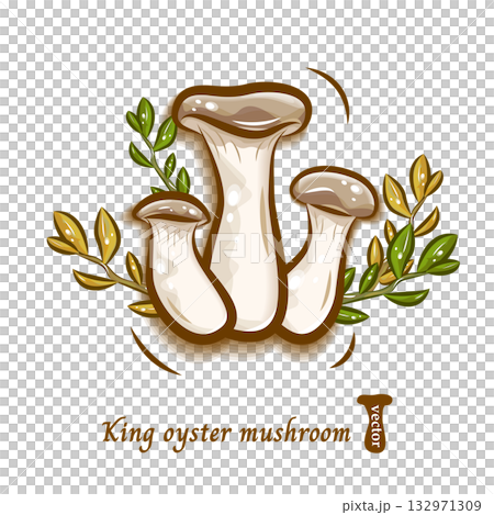 Illustration of king oyster mushrooms and forest leaves | Pop and cute mushroom vector material Illustration of king oyster mushrooms and forest leaves | Pop and cute mushroom vector material 132971309