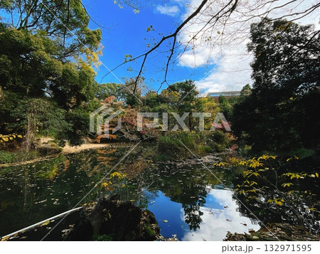 秋の東京大学 育徳園心字池（三四郎池） 132971595